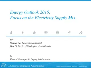 Focus on the Electricity Supply Mix for Natural Gas Power Generation in the US