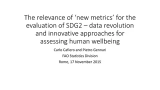 Relevance of New Metrics for Evaluating SDG2 Data Revolution