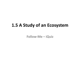 Study of Ecosystem: Identifying Plants and Flora