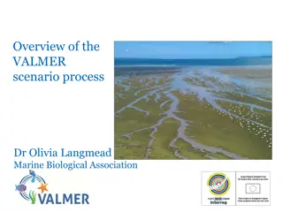The VALMER Scenario Process for Marine Management