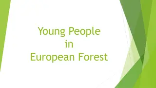 Importance of Forests for Youth and Conservation Efforts
