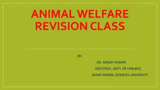 Animal Welfare and Ethics in Veterinary Care