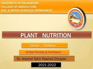 Plant Nutrition Curriculum and Soil Fertility by Dr. Alwand Tahir Dizayee
