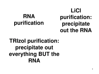RNA Purification Methods: Selective Precipitation and Phenol Extraction