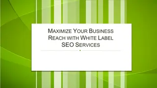 Maximize Your Business Reach with White Label SEO Services