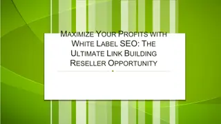 Maximize Your Profits with White Label SEO The Ultimate Link Building Reseller Opportunity