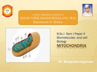 Mitochondria: The Powerhouse of the Cell