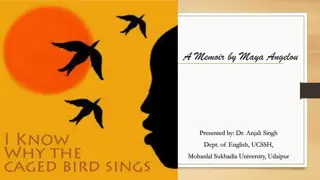 Maya Angelou's Memoir: I Know Why the Caged Bird Sings Summary