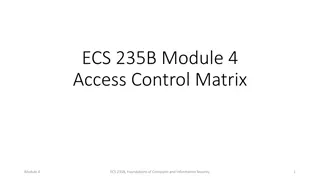 Dynamic Access Control Matrices in Computer Security