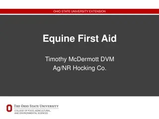 Equine First Aid and Horse Health Guidelines