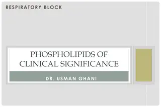 Clinical Significance of Respiratory Block Phospholipids