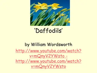 Appreciating Nature's Beauty: Daffodils by William Wordsworth