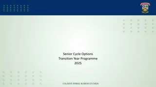 Senior Cycle Options Transition Year Programme 2025 Overview