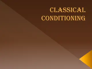 Key Processes in Learning and Conditioning