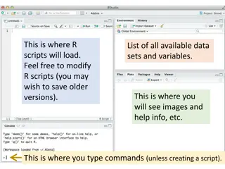 Where to Load R Scripts and Types of Commands Available