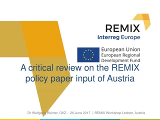 Critical Review of Austria's REMIX Policy Paper Input by Dr. Wolfgang Reimer