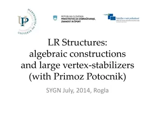 Algebraic Constructions and Large Vertex Stabilizers in LR Structures