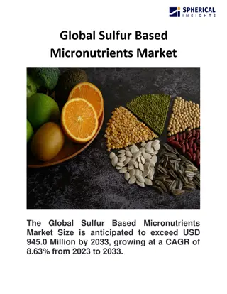 Global Sulfur Based Micronutrients Market