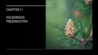 Evolution of Wilderness Concept: From Negative Connotations to Romantic Grandeur