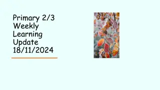 Primary 2/3 Weekly Learning Update - Phonics, Spelling, and Writing Activities