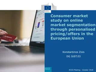 Exploring Online Market Segmentation Through Personalised Pricing in EU