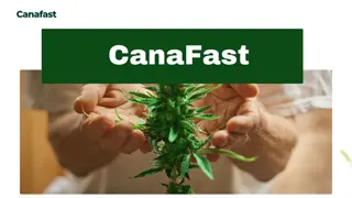 Alien Cookies Strain Delivery in Brampton  CanaFast