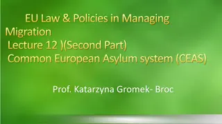 Common European Asylum System (CEAS) and Migration Policies