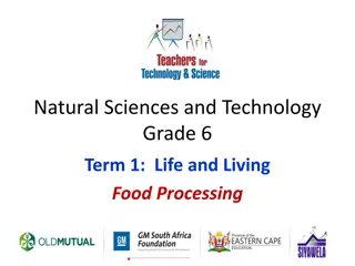 Food Processing in Grade 6 Natural Sciences