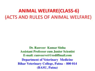 Animal Welfare: Laws and Regulations for Slaughterhouses