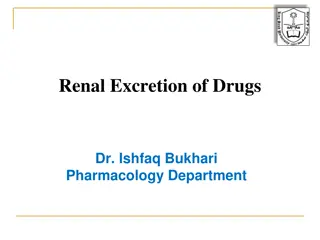 Renal Excretion of Drugs in Pharmacology