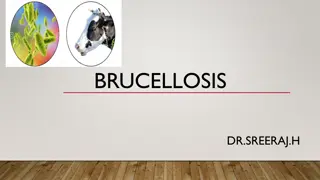 Brucellosis