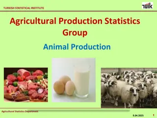 Turkish Statistical Institute Animal Production Statistics