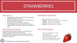Fun Facts and Activities with Strawberries