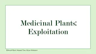 Colonial Plants and European Botanical Hegemony