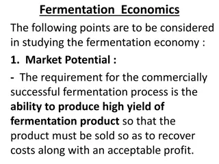 Fermentation Economics: Market Potential and Product Costs