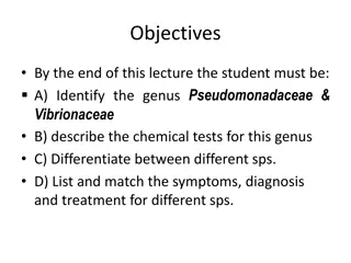 Pseudomonas aeruginosa Pathogenesis and Clinical Findings
