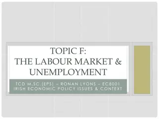 Labor Market, Inequality, and Social Justice in Irish Economic Policy Context