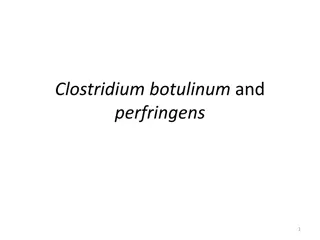 Clostridium Botulinum and Perfringens: Characteristics, Ecology, and Toxin