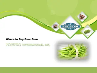 Buy Guar Gum from Polypro International Inc.