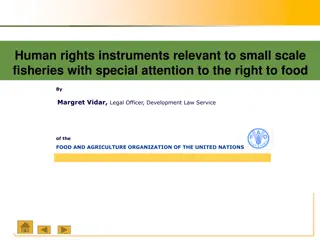 Human Rights Instruments for Small-Scale Fisheries and the Right to Food