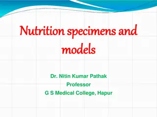 Nutrition: Essential Information for Health and Well-being