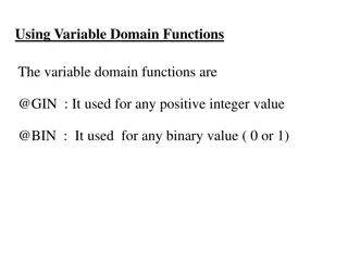 Using Variable Domain Functions in Optimization Problems