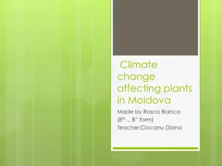 Impact of Climate Change on Plants in Moldova
