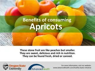 Apricot Benefits: Nutrition, Health, and Wellness Insights