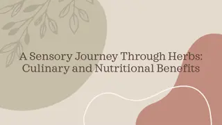 Exploring the Culinary and Nutritional Benefits of Herbs Through a Sensory Journey