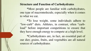 Carbohydrates: Structure, Function, and Types