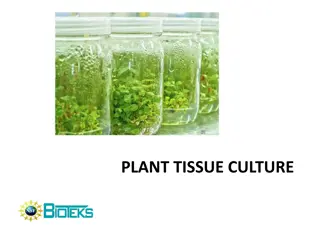 Plant Tissue Culture Techniques