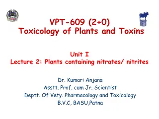 Plants High in Nitrates and Nitrites: Toxicology Insights
