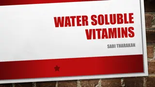 Essential Functions and Sources of B-Vitamins for Health