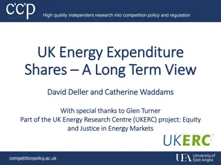UK Energy Expenditure Patterns and Policies